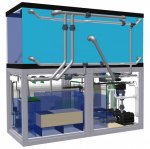 Reef Tank-2.jpg