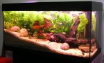 120 Gallon Fresh Water Tank