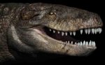 Gigantic crocodile with T. rex teeth was a top land predator of the Jurassic in Madagascar